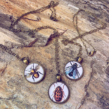 insecta bug, bee or fly pendant necklace